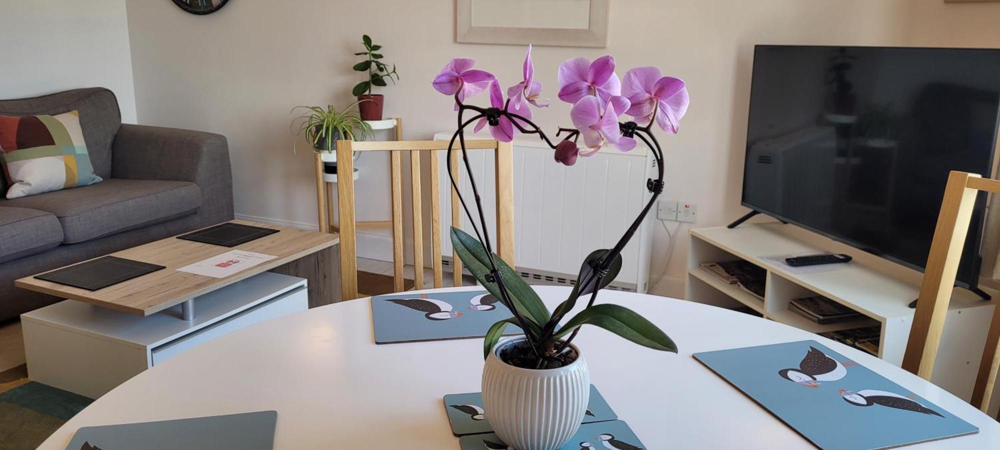 Heart Of Inverness-City Apartment Extérieur photo
